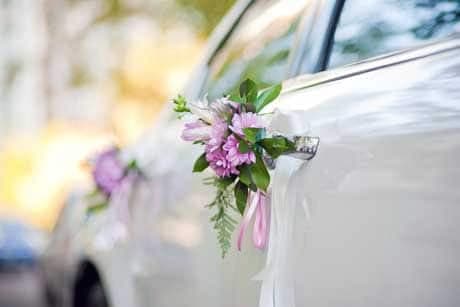 images/shops/103-17063407725510.webp
